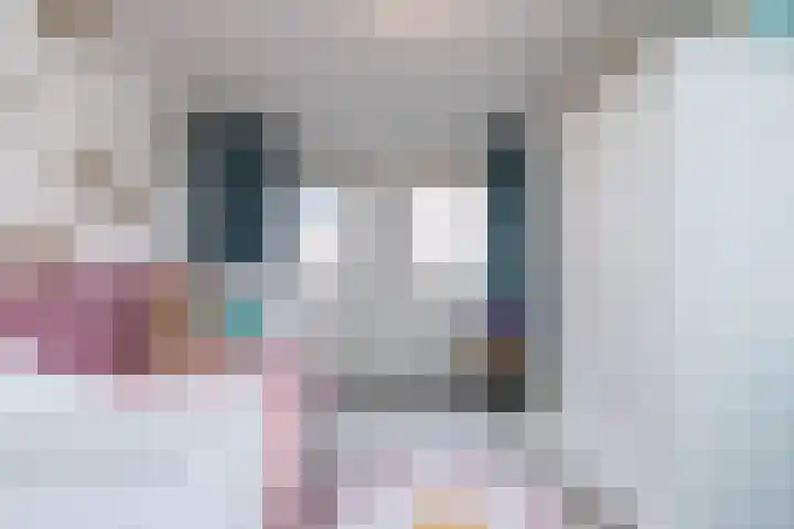 Klein-Haasdal 65 Schimmert thumbnail 16