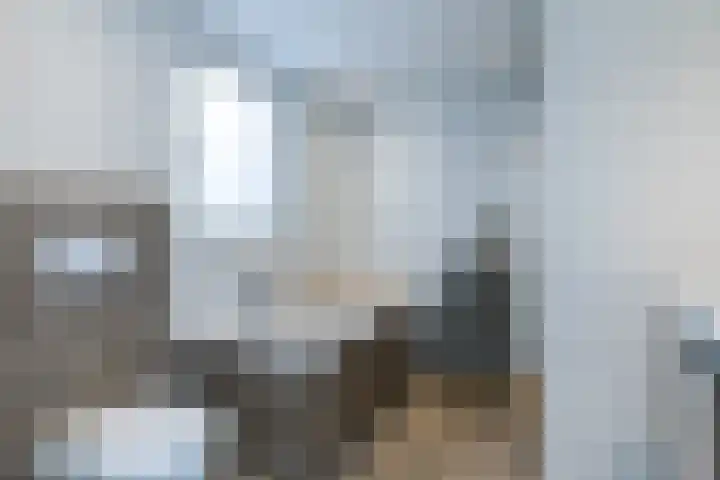 Klein-Haasdal 65 Schimmert thumbnail 18