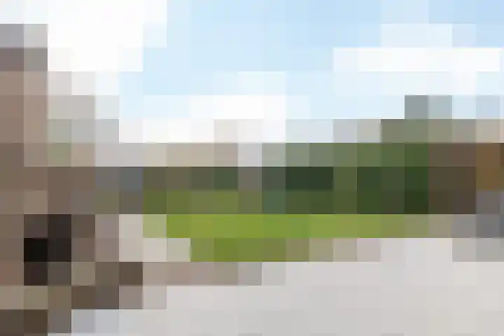 Klein-Haasdal 65 Schimmert thumbnail 21