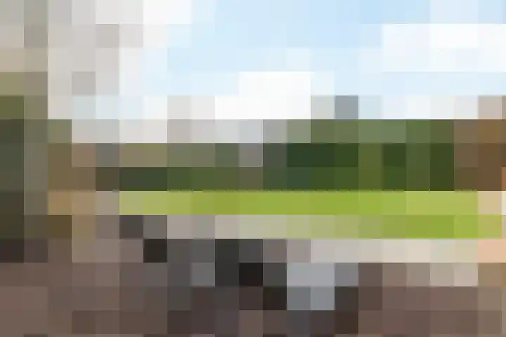 Klein-Haasdal 65 Schimmert thumbnail 22