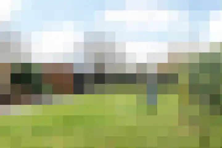 Klein-Haasdal 65 Schimmert thumbnail 23