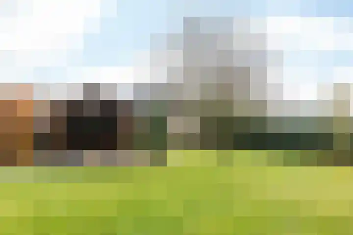 Klein-Haasdal 65 Schimmert thumbnail 24
