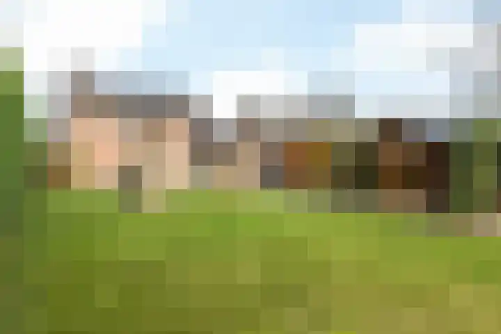 Klein-Haasdal 65 Schimmert thumbnail 25