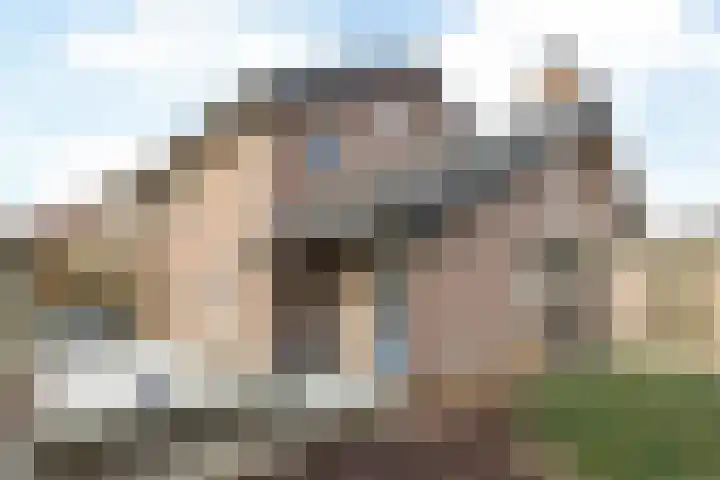 Klein-Haasdal 65 Schimmert thumbnail 27