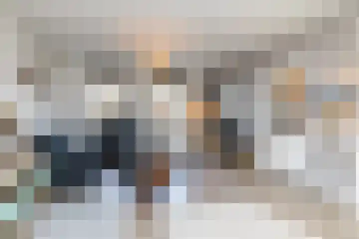 Klein-Haasdal 65 Schimmert thumbnail 4