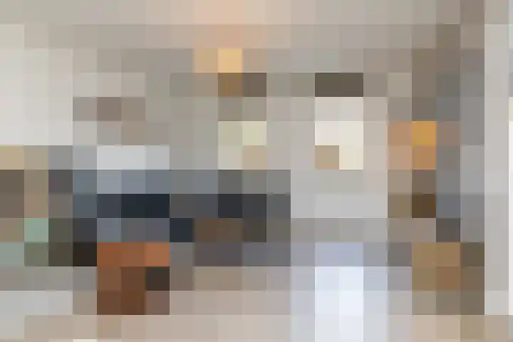 Klein-Haasdal 65 Schimmert thumbnail 8