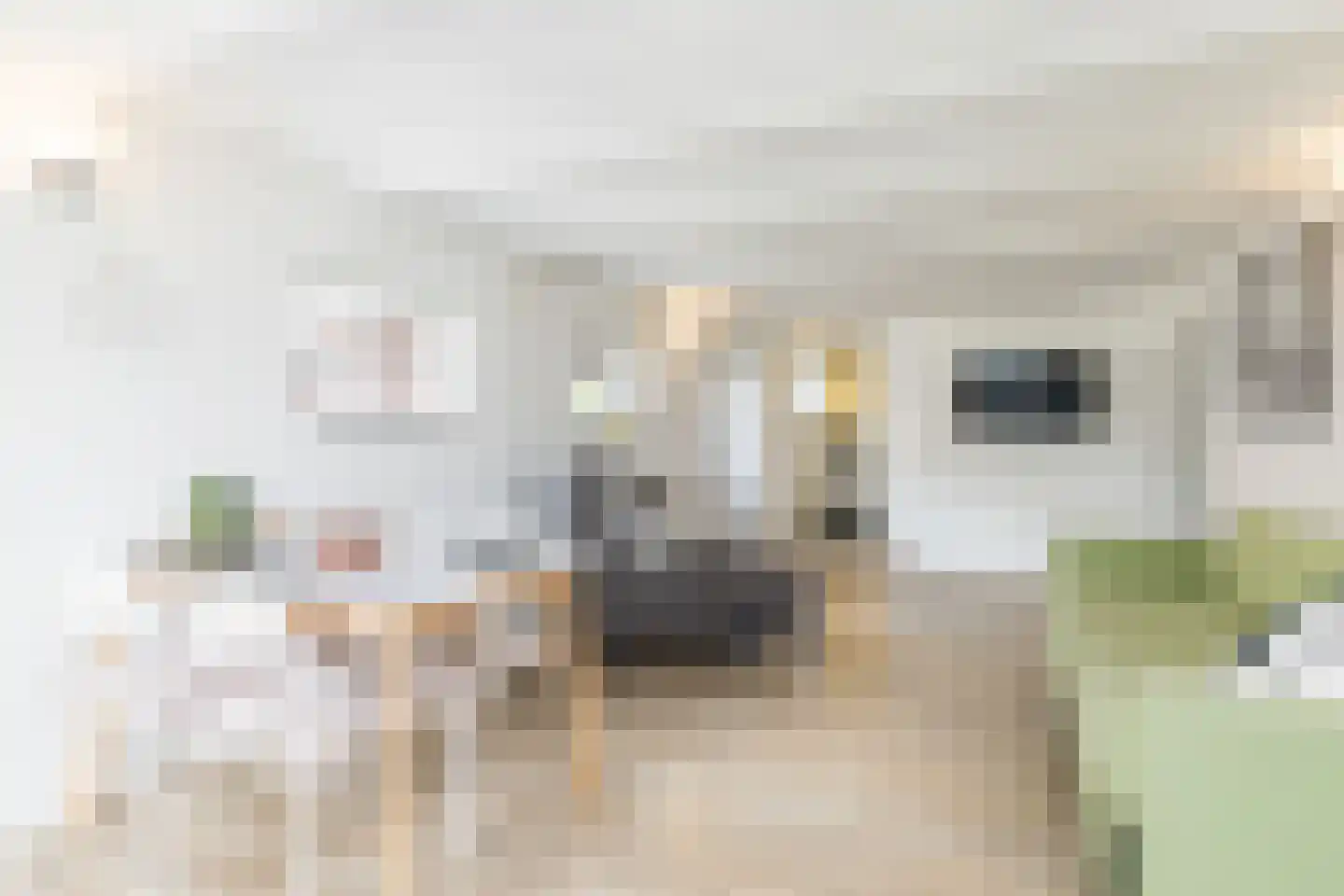 Klein-Haasdal 76 Schimmert thumbnail 30
