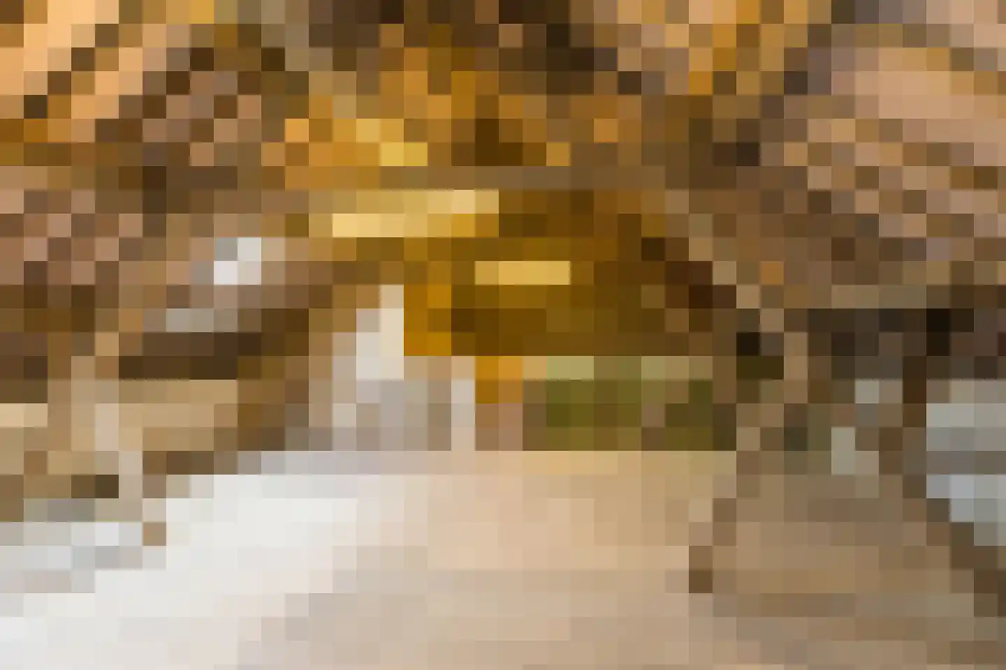 Klein-Haasdal 76 Schimmert thumbnail 44