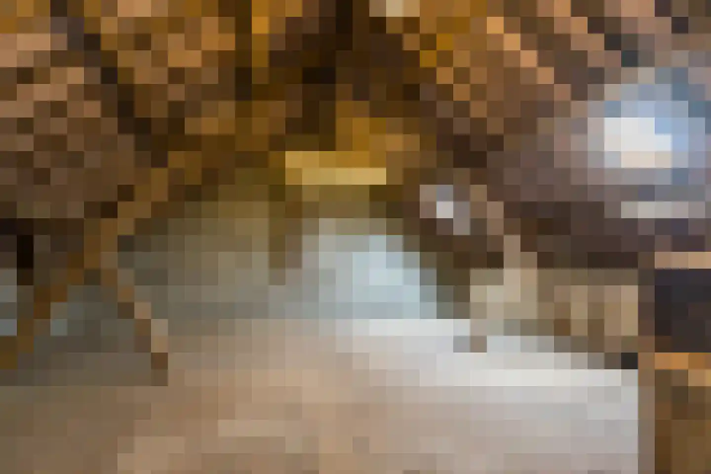 Klein-Haasdal 76 Schimmert thumbnail 45
