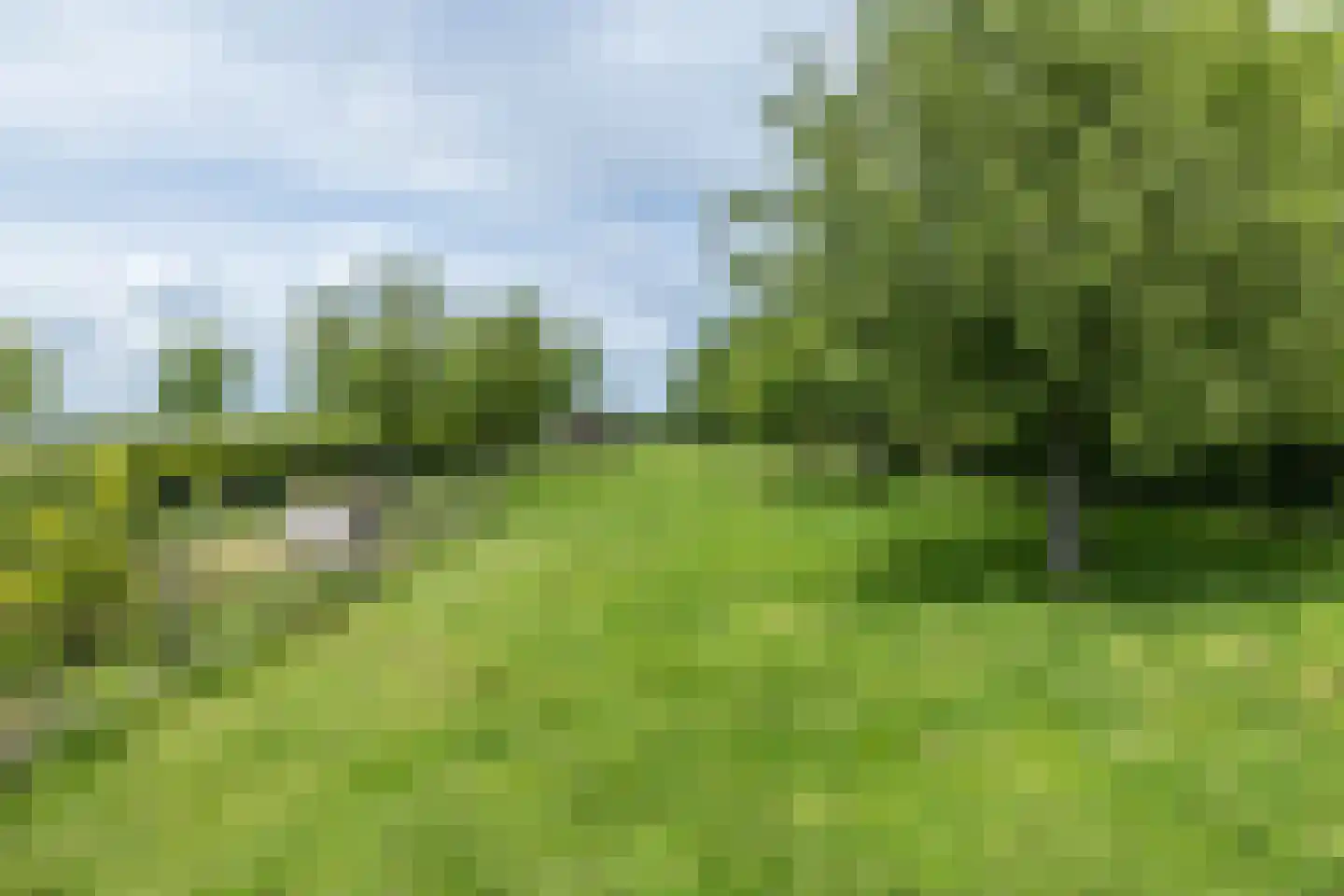 Klein-Haasdal 76 Schimmert thumbnail 57