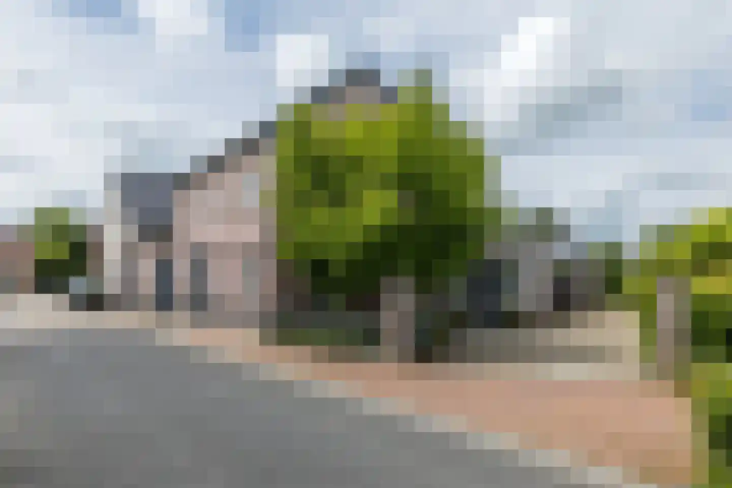 Klein-Haasdal 76 Schimmert thumbnail 58