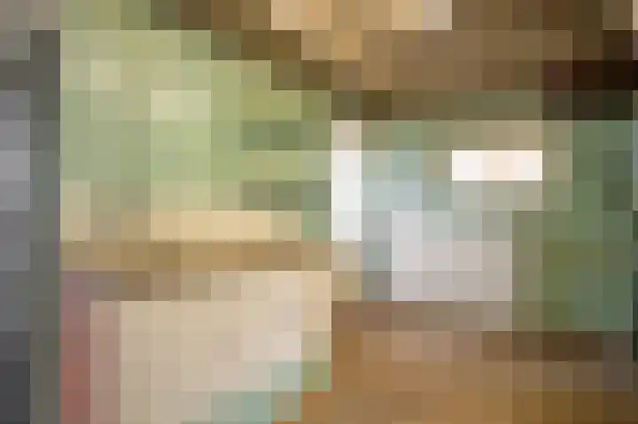 Klein-Haasdal 79 Schimmert thumbnail 11