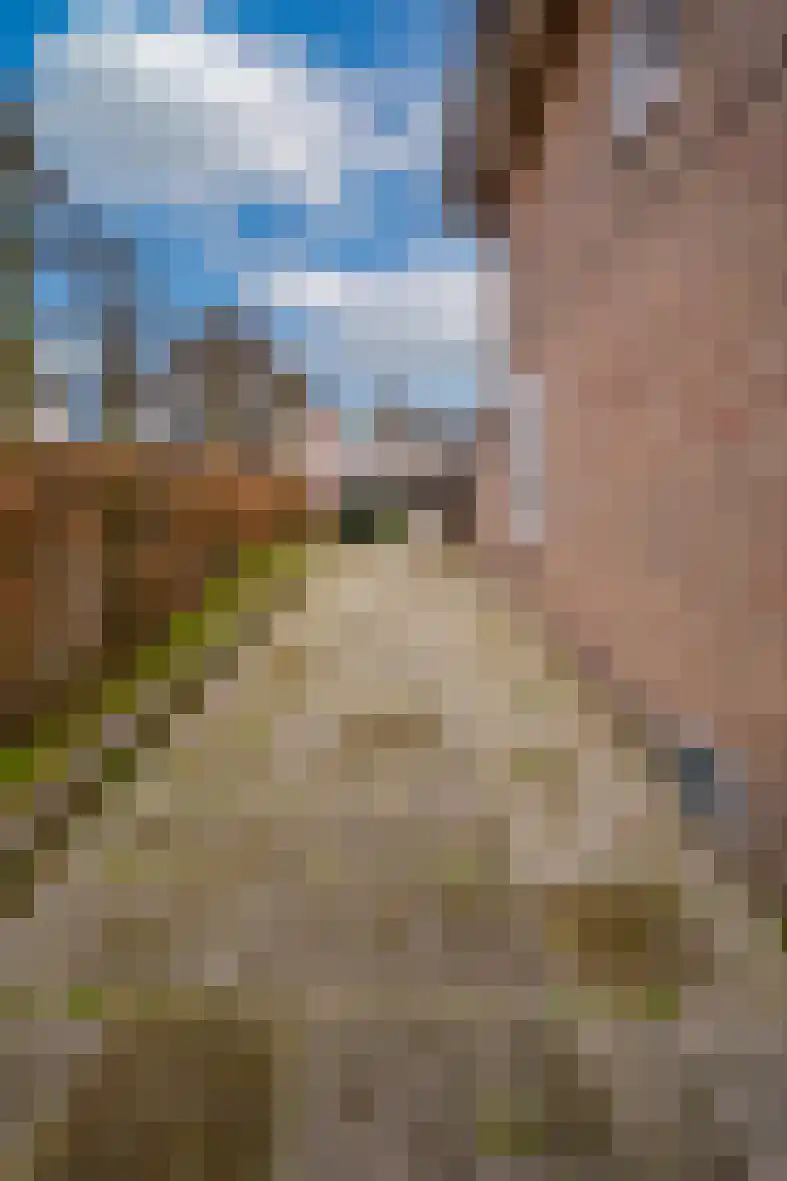 Klein-Haasdal 79 Schimmert thumbnail 28