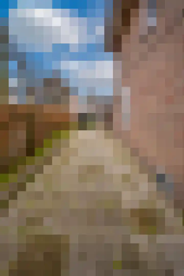Klein-Haasdal 79 Schimmert thumbnail 28