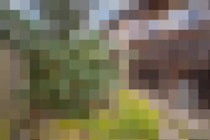 Klein-Haasdal 79 Schimmert thumbnail 37