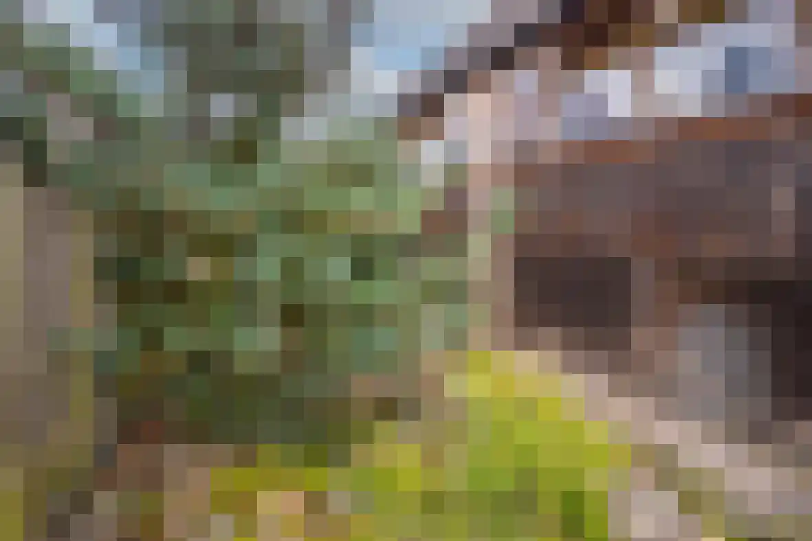 Klein-Haasdal 79 Schimmert thumbnail 37