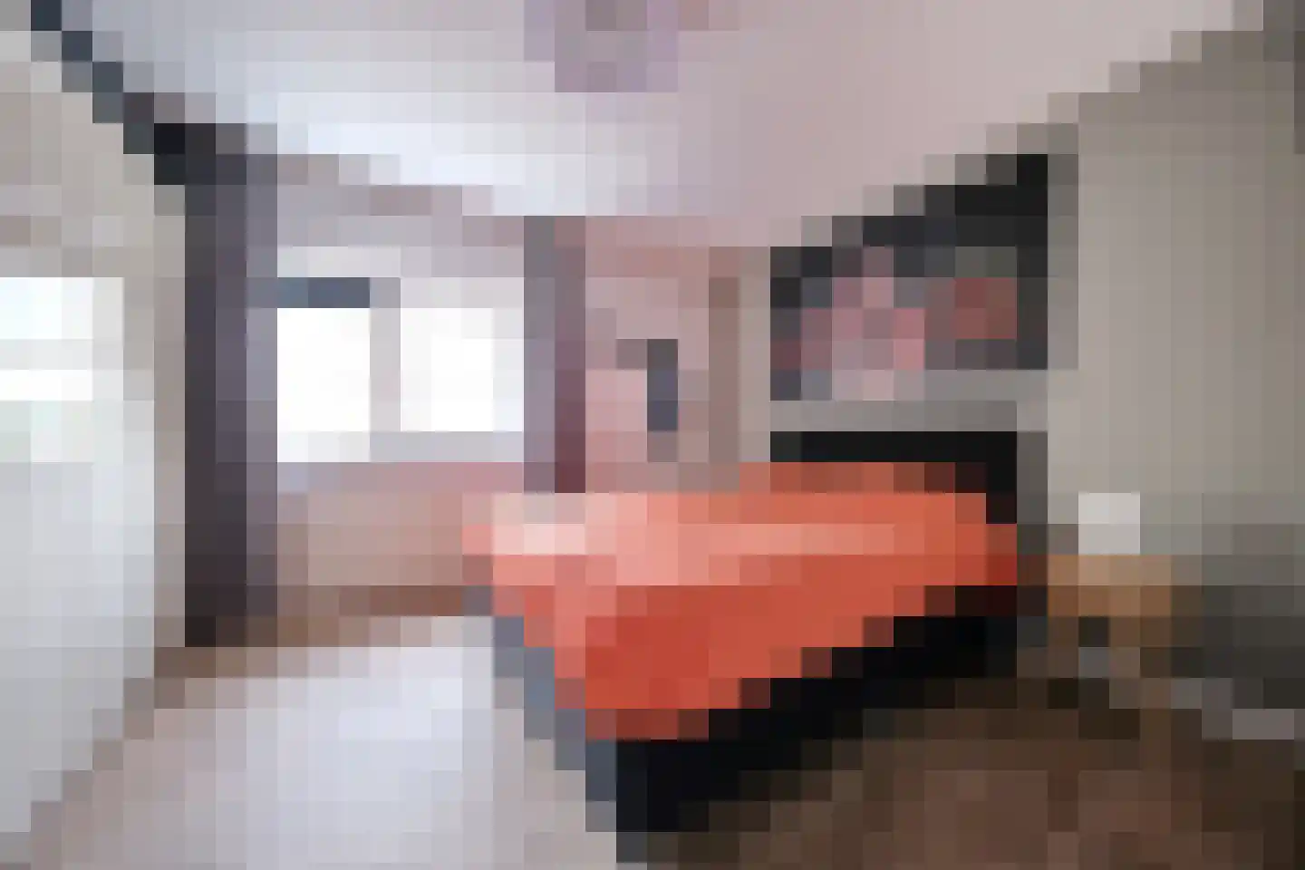 Klein Haversteeg 27 Ede thumbnail 13
