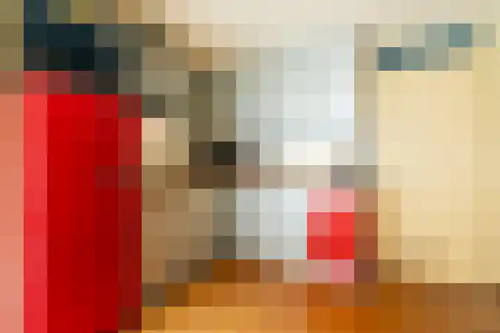 Klein Heiligland 12 Haarlem thumbnail 11