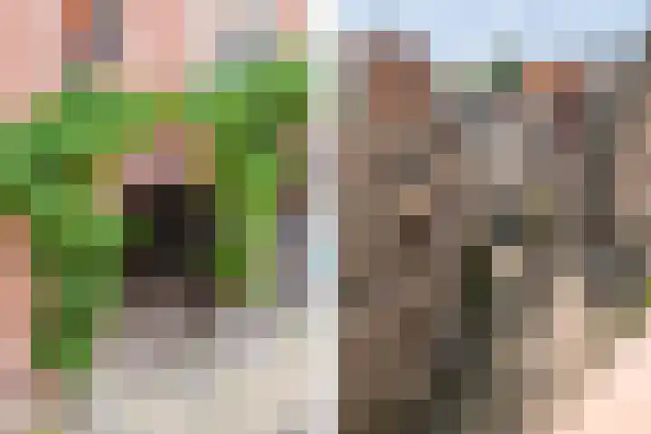 Klein Heiligland 12 Haarlem thumbnail 22