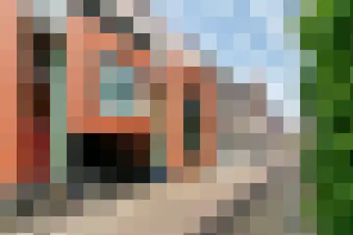 Klein Heiligland 12 Haarlem thumbnail 5