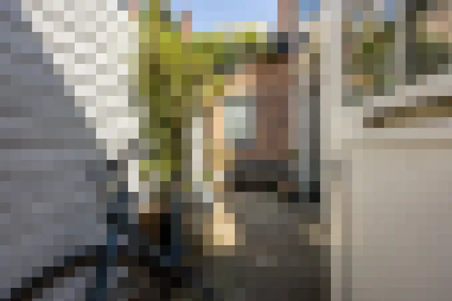 Klein Heiligland 33 A Haarlem thumbnail 4