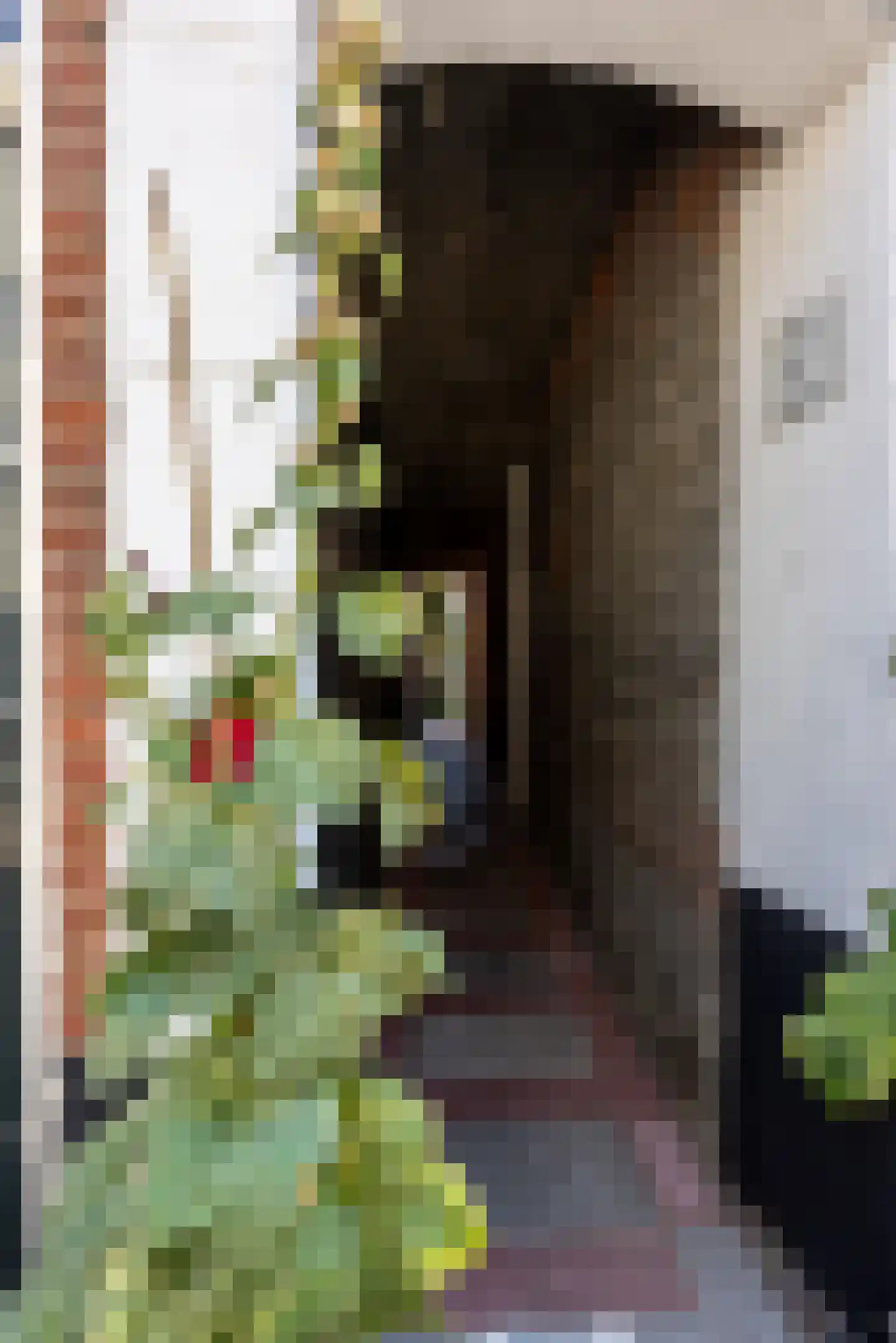 Klein Heiligland 33 A Haarlem thumbnail 6