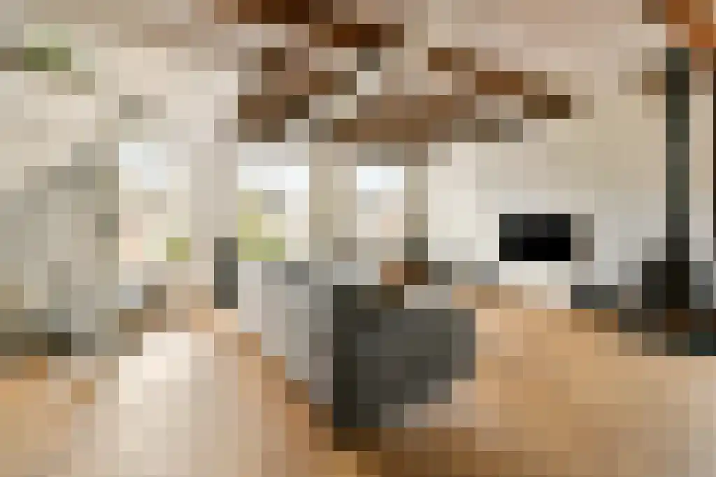 Klein Heiligland 4 B Haarlem thumbnail 6