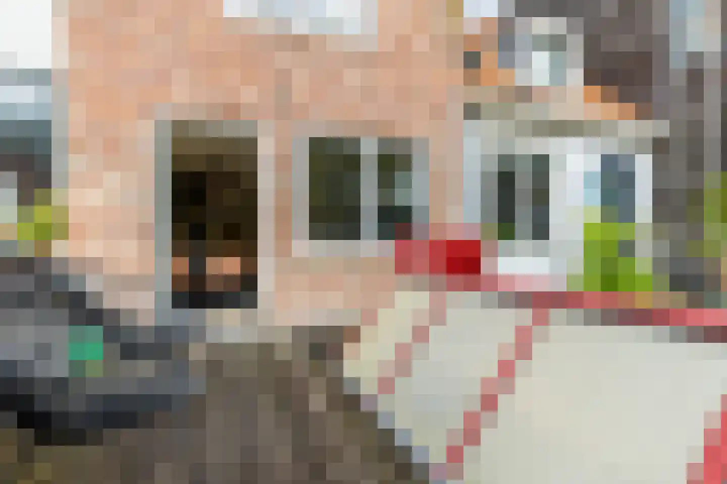 Klein Heiligland 97 A Haarlem thumbnail 23