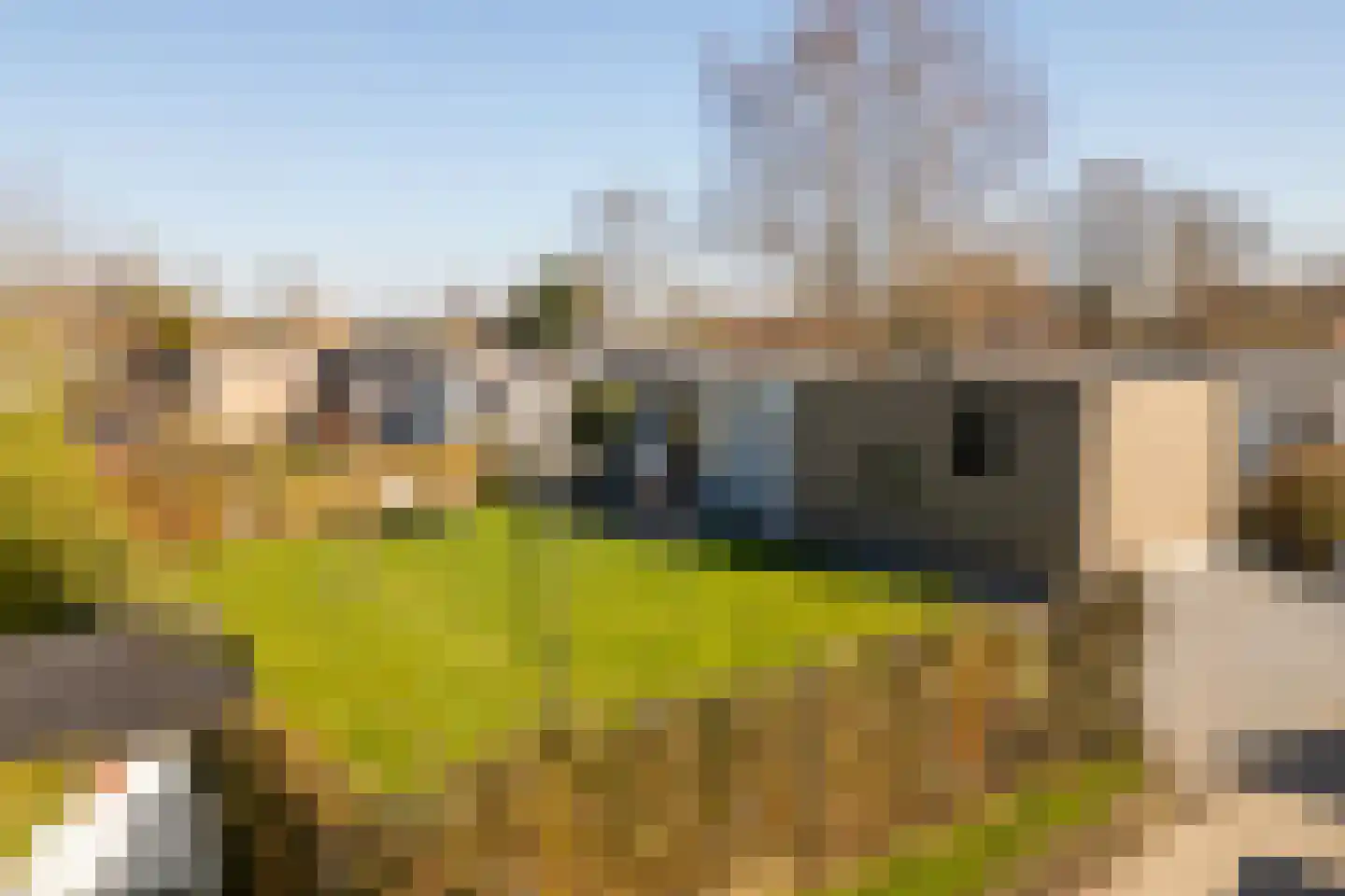 Klein Hitland 138 Nieuwerkerk aan den IJssel thumbnail 30