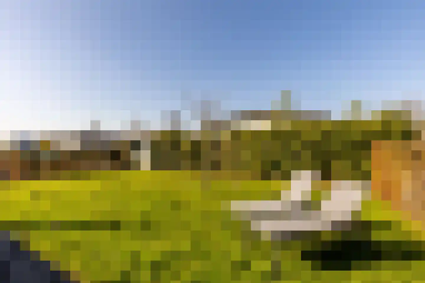 Klein Hitland 138 Nieuwerkerk aan den IJssel thumbnail 32