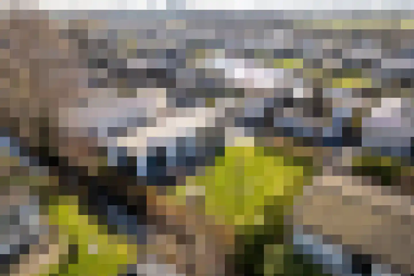 Klein Hitland 138 Nieuwerkerk aan den IJssel thumbnail 36