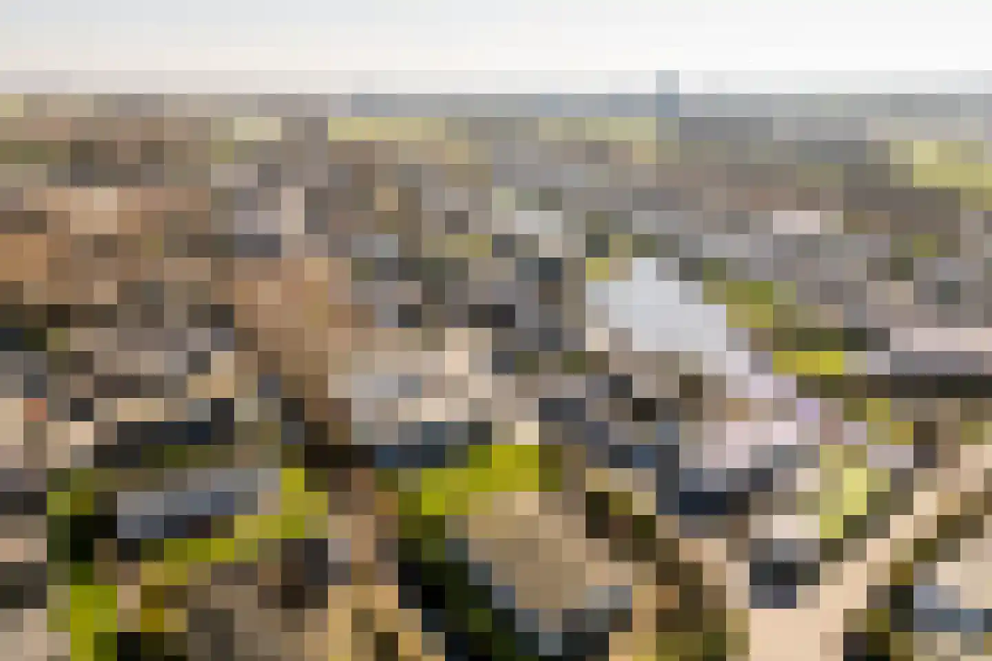 Klein Hitland 138 Nieuwerkerk aan den IJssel thumbnail 37