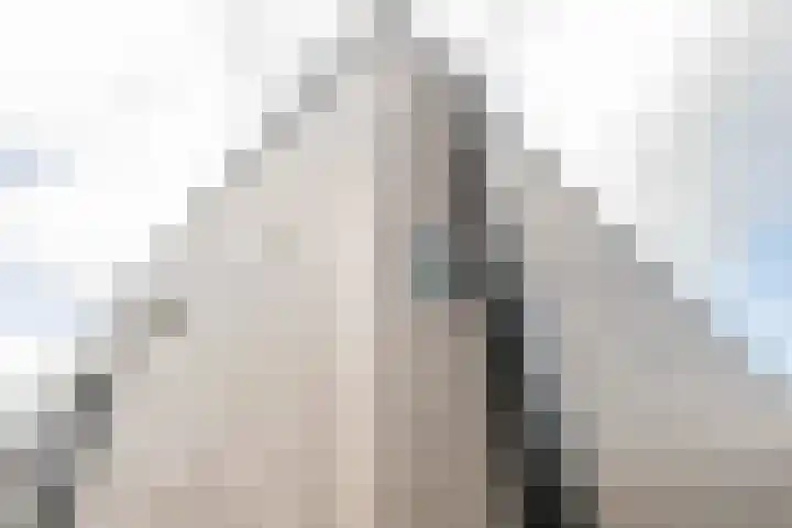 Klein Hitland 211 Nieuwerkerk aan den IJssel thumbnail 17