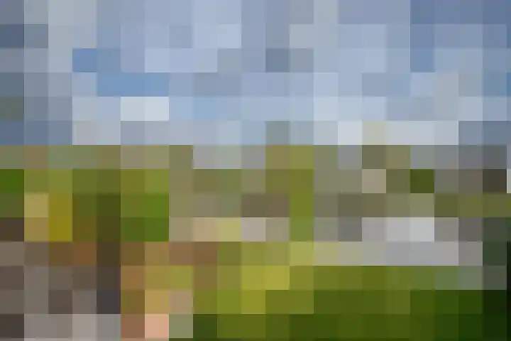 Klein Hitland 245 Nieuwerkerk aan den IJssel thumbnail 18