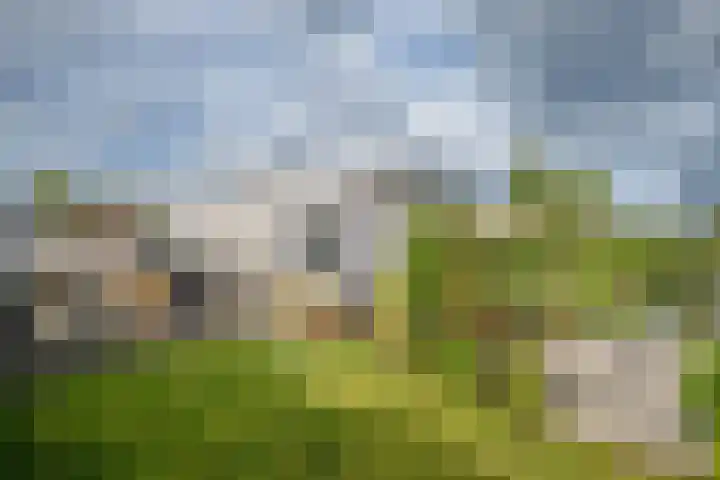 Klein Hitland 245 Nieuwerkerk aan den IJssel thumbnail 27