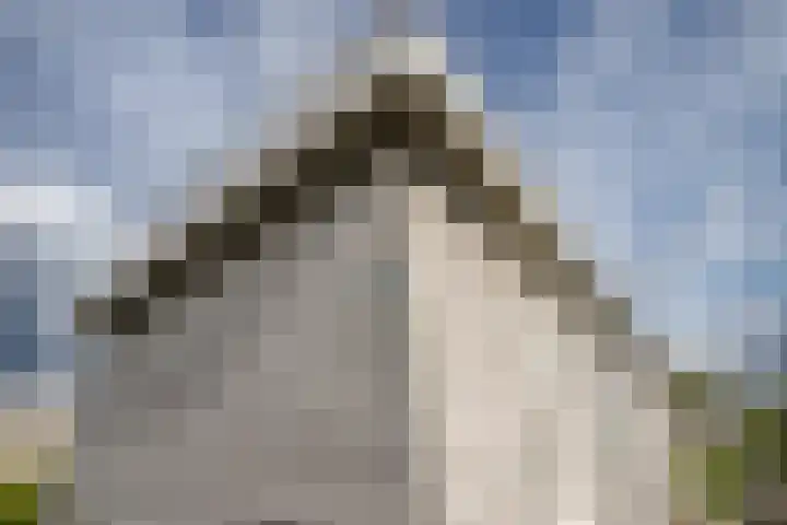 Klein Hitland 245 Nieuwerkerk aan den IJssel thumbnail 39
