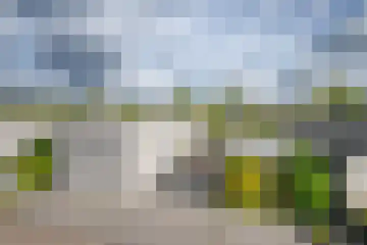Klein Hitland 245 Nieuwerkerk aan den IJssel thumbnail 40