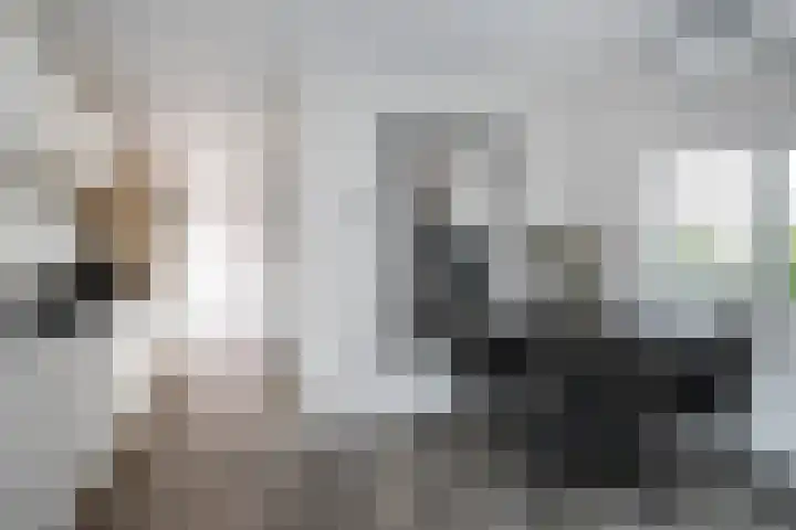 Klein Hitland 245 Nieuwerkerk aan den IJssel thumbnail 43