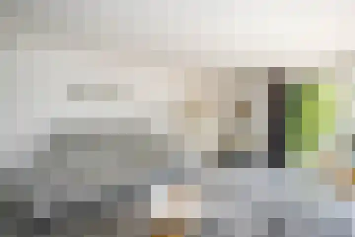 Klein Hitland 26 Nieuwerkerk aan den IJssel thumbnail 17
