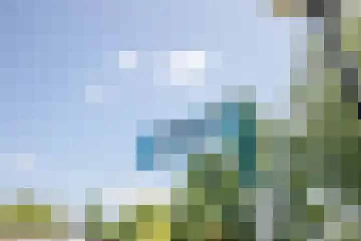 Klein Hitland 26 Nieuwerkerk aan den IJssel thumbnail 30