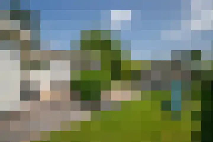 Klein Hitland 26 Nieuwerkerk aan den IJssel thumbnail 6