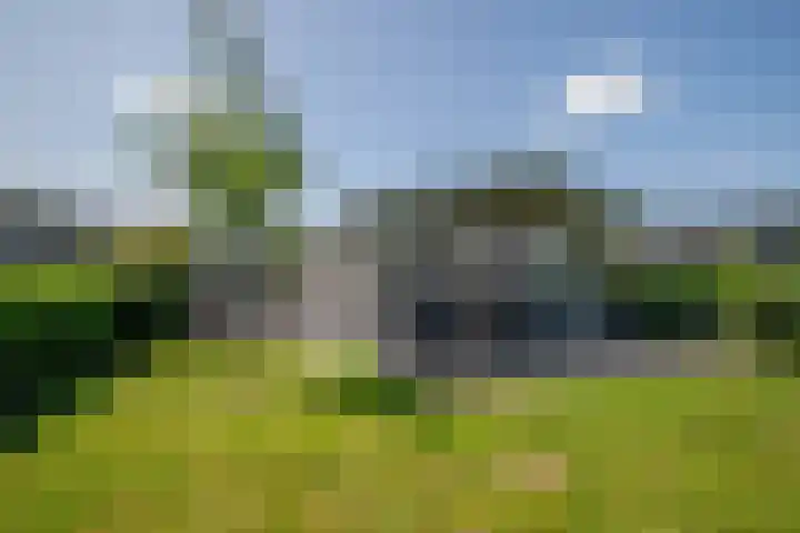 Klein Hitland 261 Nieuwerkerk aan den IJssel thumbnail 21