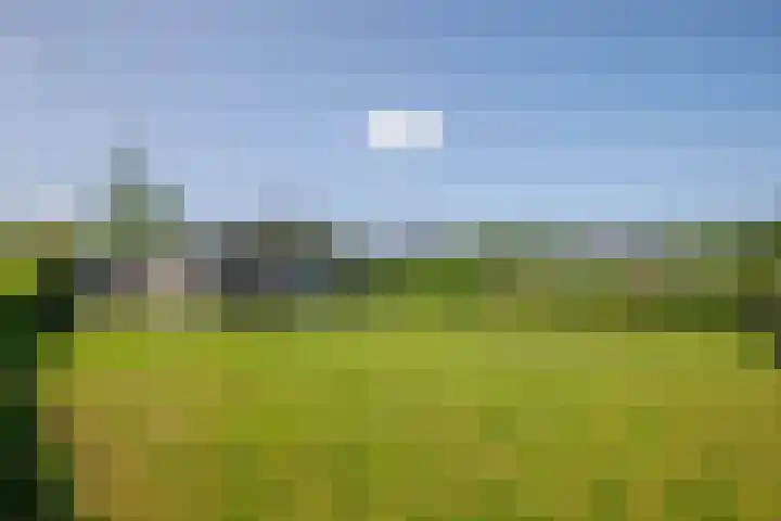 Klein Hitland 261 Nieuwerkerk aan den IJssel thumbnail 31