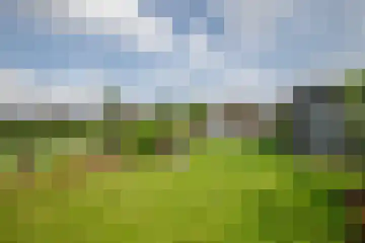 Klein Hitland 298 Nieuwerkerk aan den IJssel thumbnail 30