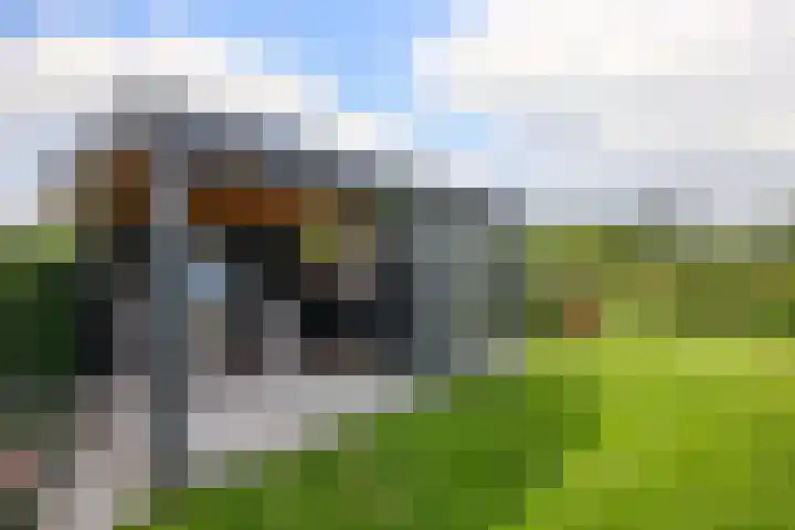 Klein Hitland 298 Nieuwerkerk aan den IJssel thumbnail 31