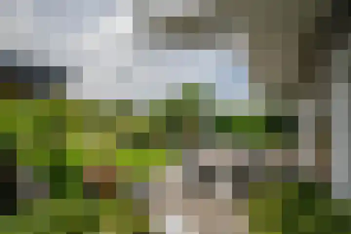 Klein Hitland 298 Nieuwerkerk aan den IJssel thumbnail 33