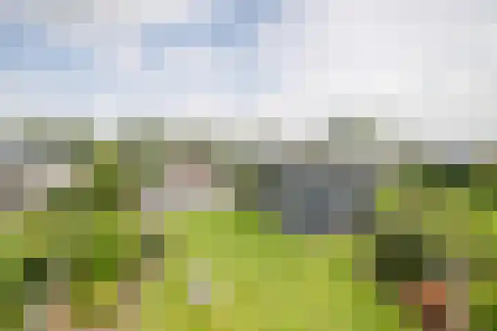 Klein Hitland 298 Nieuwerkerk aan den IJssel thumbnail 34