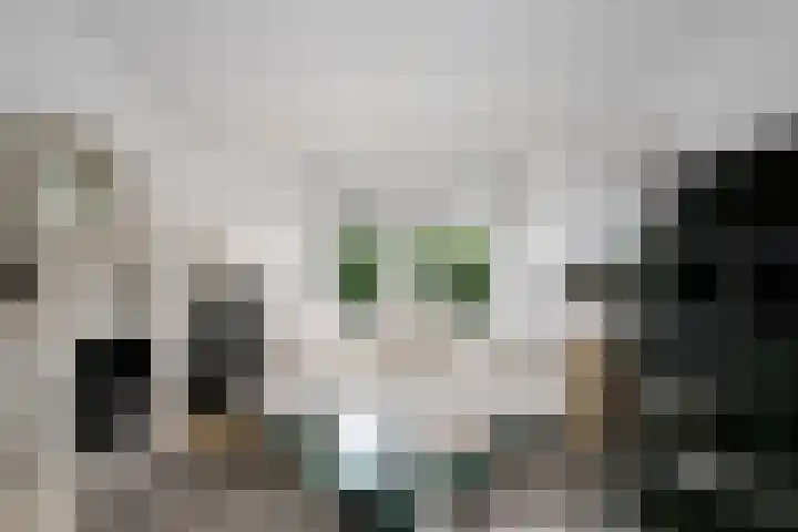 Klein Hitland 298 Nieuwerkerk aan den IJssel thumbnail 8
