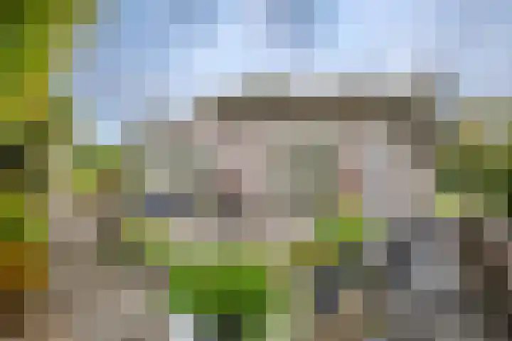 Klein Hitland 56 Nieuwerkerk aan den IJssel thumbnail 30