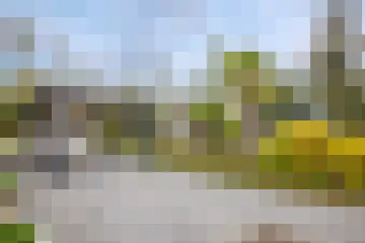 Klein Hitland 56 Nieuwerkerk aan den IJssel thumbnail 35